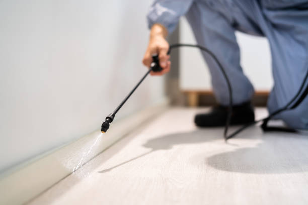 Bed Bug Pre-Treatment Preparation Assessment in Fifth Street