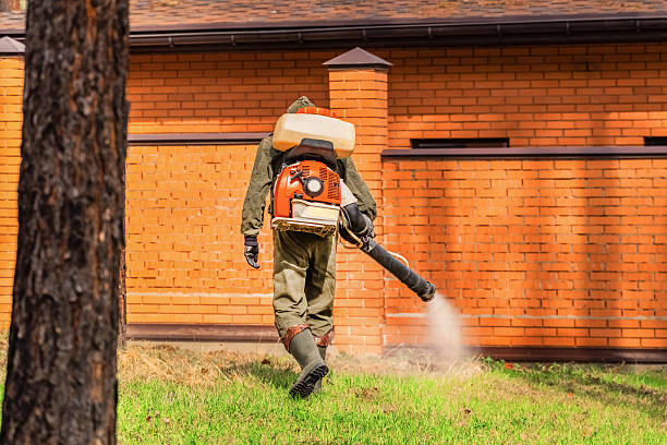 Bed Bug Clearance Verification and Documentation in Fifth Street